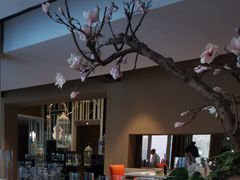 -春晖园度假酒店温泉