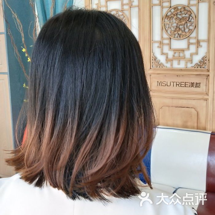 渼树msutree连锁沙龙图片-北京美发-大众点评网