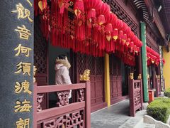 -下海庙