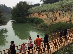 -南国桃园旅游度假区