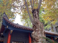 -四川大学(华西校区)