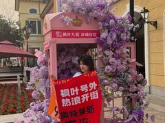 -枫叶小镇奥特莱斯