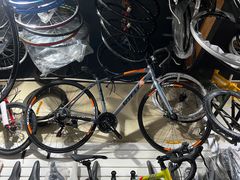 -道路口单车爱瓦士dahon大行