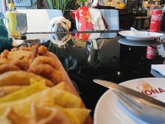 -百好乐宠物友好餐厅(朝外大街店)