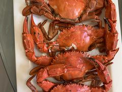 螃蟹-宾朋海鲜饭庄(兴海路店)