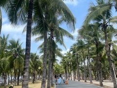 -三亚西岛海洋文化旅游区