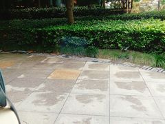 -哈根达斯(宁波和义店)