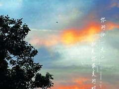 -深圳市当代艺术与城市规划馆