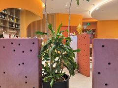 -美泰·Mangothai·清迈云街(天空之城店)