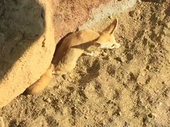 -泉州海丝野生动物世界