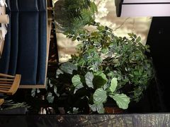 景观位-杏花堂·山西菜馆(晋中万达店)