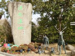 -溱湖国家湿地公园