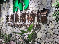 -野象谷景区
