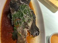 -钟菜·粤菜点心·宴请(海上世界·汇港二期店)