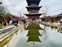 -广富林郊野公园