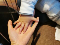 -君悦酒店·大堂酒吧·高空下午茶·暮色微醺
