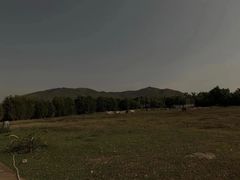 -亚龙湾国际玫瑰谷