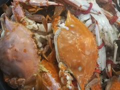 -渔公码头海货全海鲜自助(海滨旅游路店)