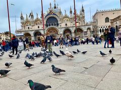 -圣马尔谷圣殿宗主教座堂