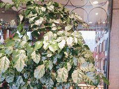 -老土灶民间菜(跃进桥店)