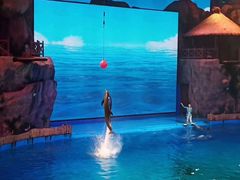 -芜湖新华联大白鲸海洋公园