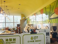 -油梨树AVOCADO TREE(望京店)