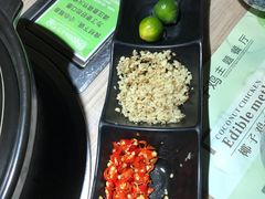 -探窝·竹笙椰子鸡(杨箕店)