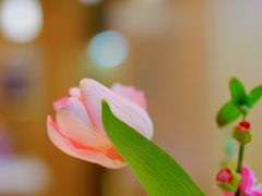 -哈根达斯(大悦城店)