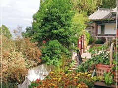 -丽江古城第一观景台