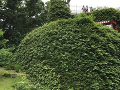 -三鹰之森吉卜力美术馆