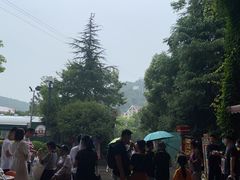 -杭州乐园