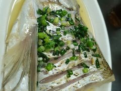 清蒸白鱼-协和菜馆(凤凰街店)
