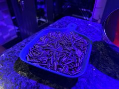 -好乐迪KTV(金钻店)