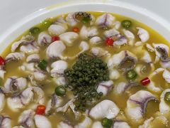 -青花椒花椒鱼(合生汇店)