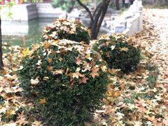 -钓鱼台国宾馆