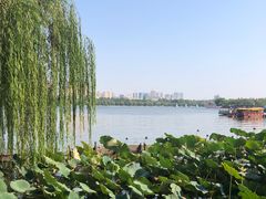 -济南大明湖景区