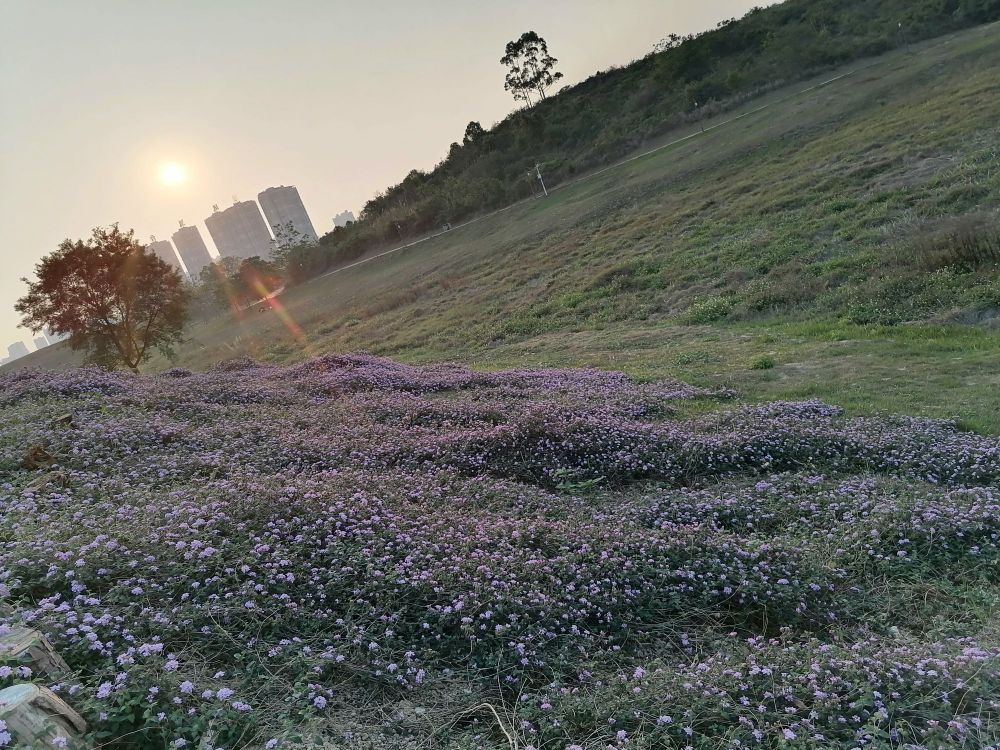 南宁市灵龟山公园一览