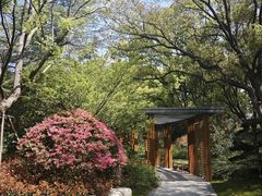 -上海虹桥迎宾馆