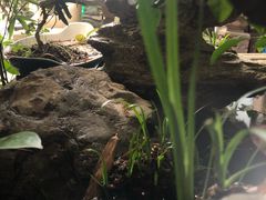 -三峡古玩城(泰古广场店)