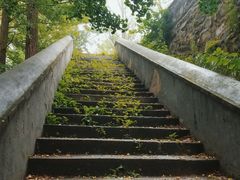 -阳台山自然风景区