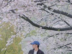 -杭州少年儿童公园