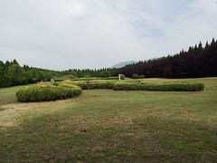 -秦始皇帝陵博物院-丽山园