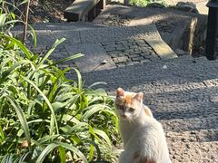 -鼓楼(西湖风景名胜区)
