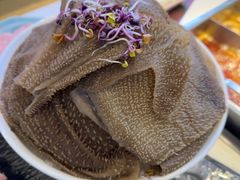 -五星桥原切肥牛火锅(怀德桥店)