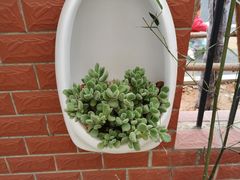 -厦门市蔡塘学校