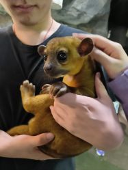 -Zoolung Zoolung动物主题公园(海信广场店)