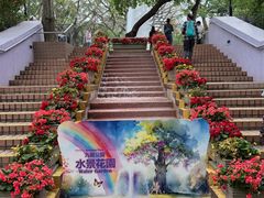 -九龙公园