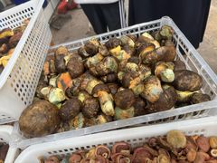 -草墩罗非鱼庄•野生菌•腊排骨(七星街上段店)