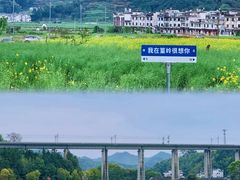 -篁岭景区