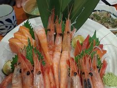-有喜屋·烧鸟·居酒屋(三钢里店)